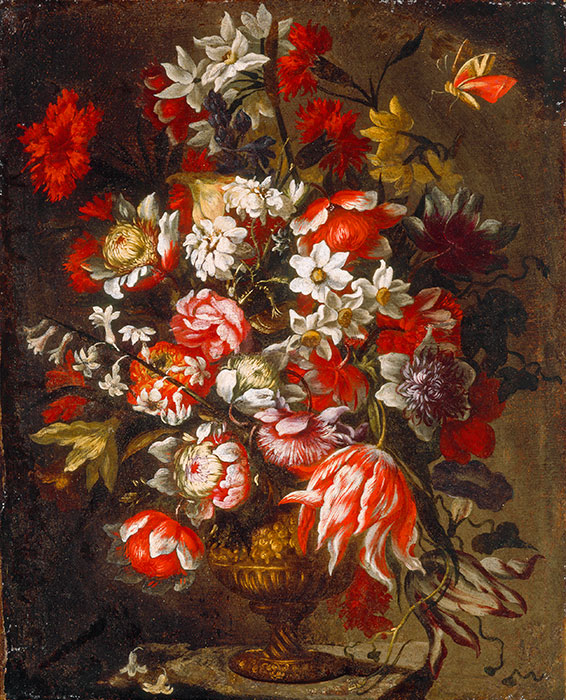 Anonimo — Autore non indicato - sec. XVII/ XVIII - Natura morta con vaso di fiori e farfalla — insieme